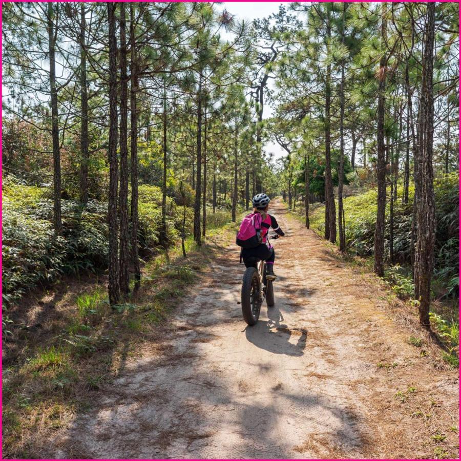 Mobilhome 2Ch Climatise-Terrasse Fermee-4 Velos-Camping 4 Etoiles Les Charmettes Les Mathes Luaran gambar